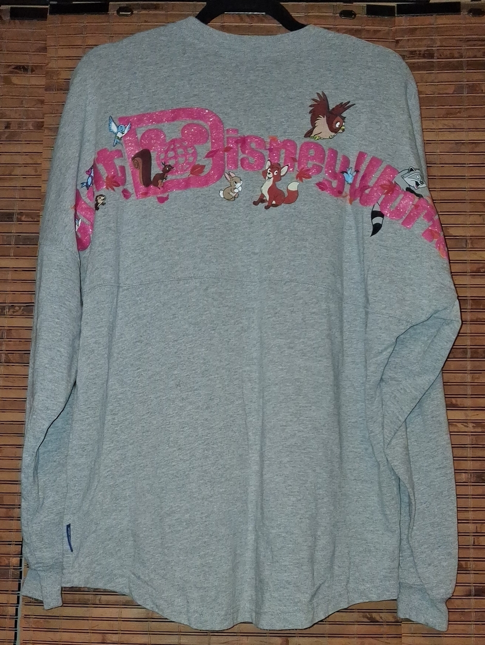 DISNEYLAND WOODLAND CREATURES SPIRIT JERSEY